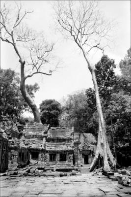 Angkor