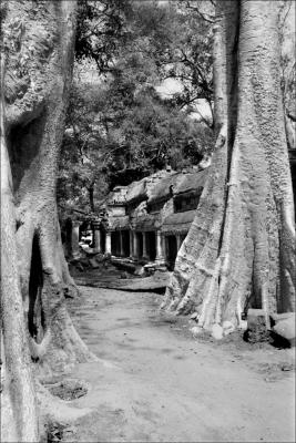 Angkor