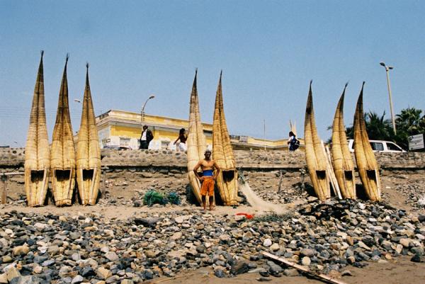 Caballitos de mar