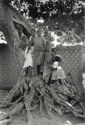 Arbre aux enfants